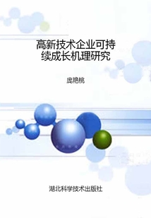 高新技術企業可持續成長機理研究