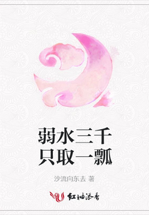 弱水三千只取一瓢