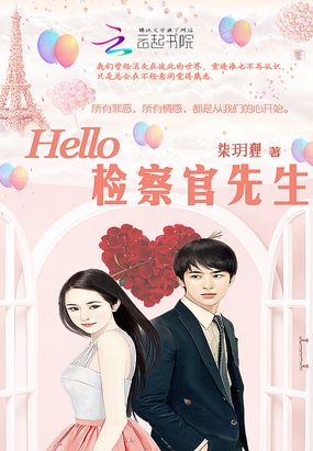 Hello，检察官先生在线阅读