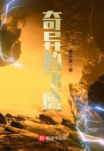 奇异的飞鹰 cover