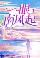 一眼南風起在線閱讀