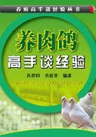 养肉鸽高手谈经验在线阅读