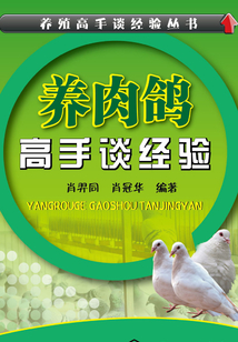 養(yǎng)肉鴿高手談經(jīng)驗(yàn)