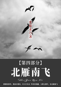 北雁南飛·第四部分(張恨水經(jīng)典小說)
