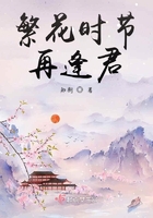 繁花時節再逢君在線閱讀