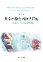 数字图像密码算法详解：基于C、C#与MATLAB在线阅读