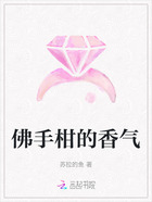 佛手柑的香气在线阅读