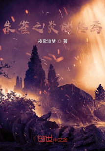 朱雀之炎的終焉