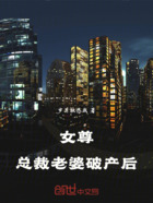 女尊:总裁老婆破产后在线阅读