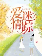 爱情迷踪在线阅读
