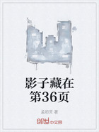影子藏在第36页在线阅读