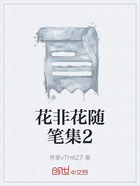 花非花随笔集2在线阅读