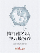 执混沌之印,主万族沉浮在线阅读