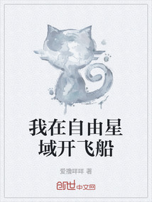 我在自由星域開飛船