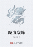 魔盗巅峰