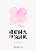 盛夏時光里的遇見在線閱讀