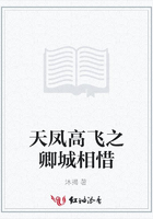 天鳳高飛之卿城相惜在線閱讀