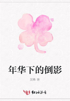 年華下的倒影在線閱讀