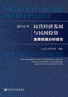 2016年民营经济发展与民间投资重要数据分析报告