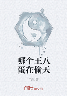 哪個(gè)王八蛋在偷天