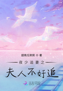 夜少追妻之夫人不好追