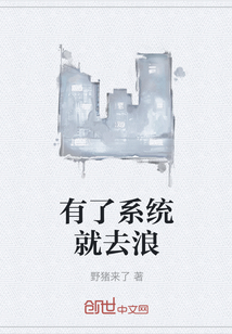 有了系统就去浪