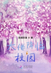 大佬降臨校園