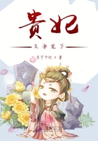 貴妃又爭寵了在線閱讀