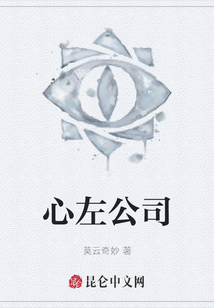 心左公司