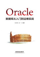 Oracle数据库从入门到运维实战在线阅读