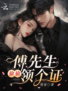 傅先生,偷偷领个证在线阅读