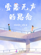 雪落无声的思念在线阅读