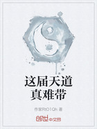 这届天道真难带在线阅读