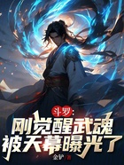 斗罗：刚觉醒武魂，被天幕曝光了在线阅读
