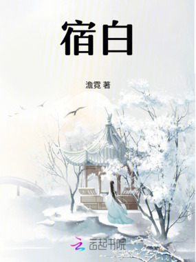 宿白在线阅读