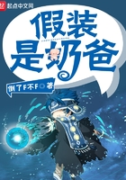 假装是奶爸在线阅读