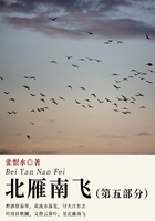 北雁南飛·第五部分（張恨水經(jīng)典小說）在線閱讀
