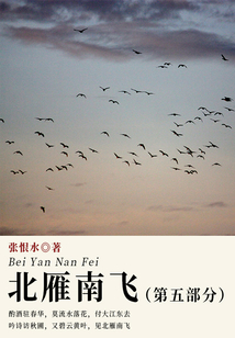 北雁南飛·第五部分(張恨水經典小說)