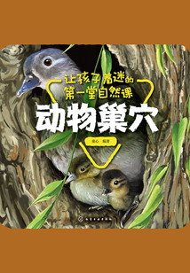 讓孩子著迷的第一堂自然課:動物巢穴