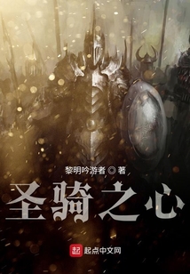 圣騎之心