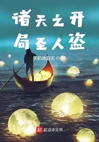 诸天之开局圣人盗在线阅读