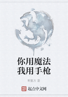 你用魔法我用手槍在線閱讀