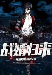戰婿歸來