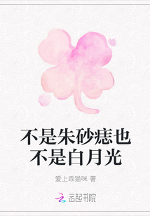 不是朱砂痣也不是白月光