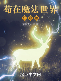 茍在魔法世界肝經驗