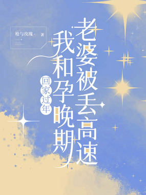 回家过年,我和孕晚期老婆被丢高速在线阅读