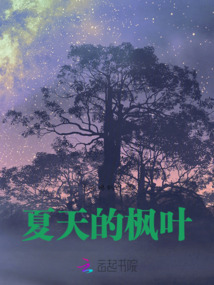 夏天的楓葉