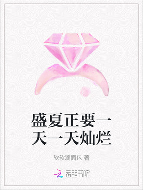 盛夏正要一天一天灿烂在线阅读