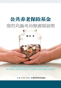 公共養(yǎng)老保險(xiǎn)基金運(yùn)行風(fēng)險(xiǎn)與內(nèi)部控制研究