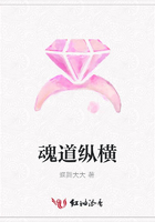 魂道縱橫在線閱讀